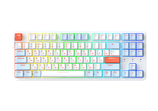 Клавиатура механическая проводная Dareu A87X Blue-White
